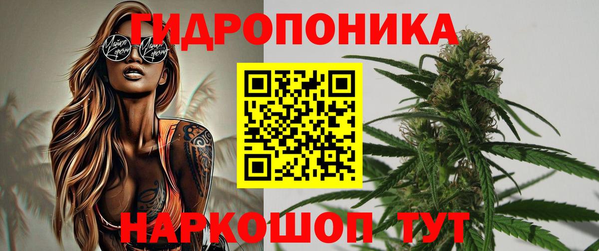 Канабис OG Kush  Вход с VPN  Каннабис AK-47  Семилуки  Марихуана MAZAR  Каннабис план 
